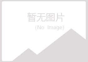 玛曲县夏岚采矿有限公司